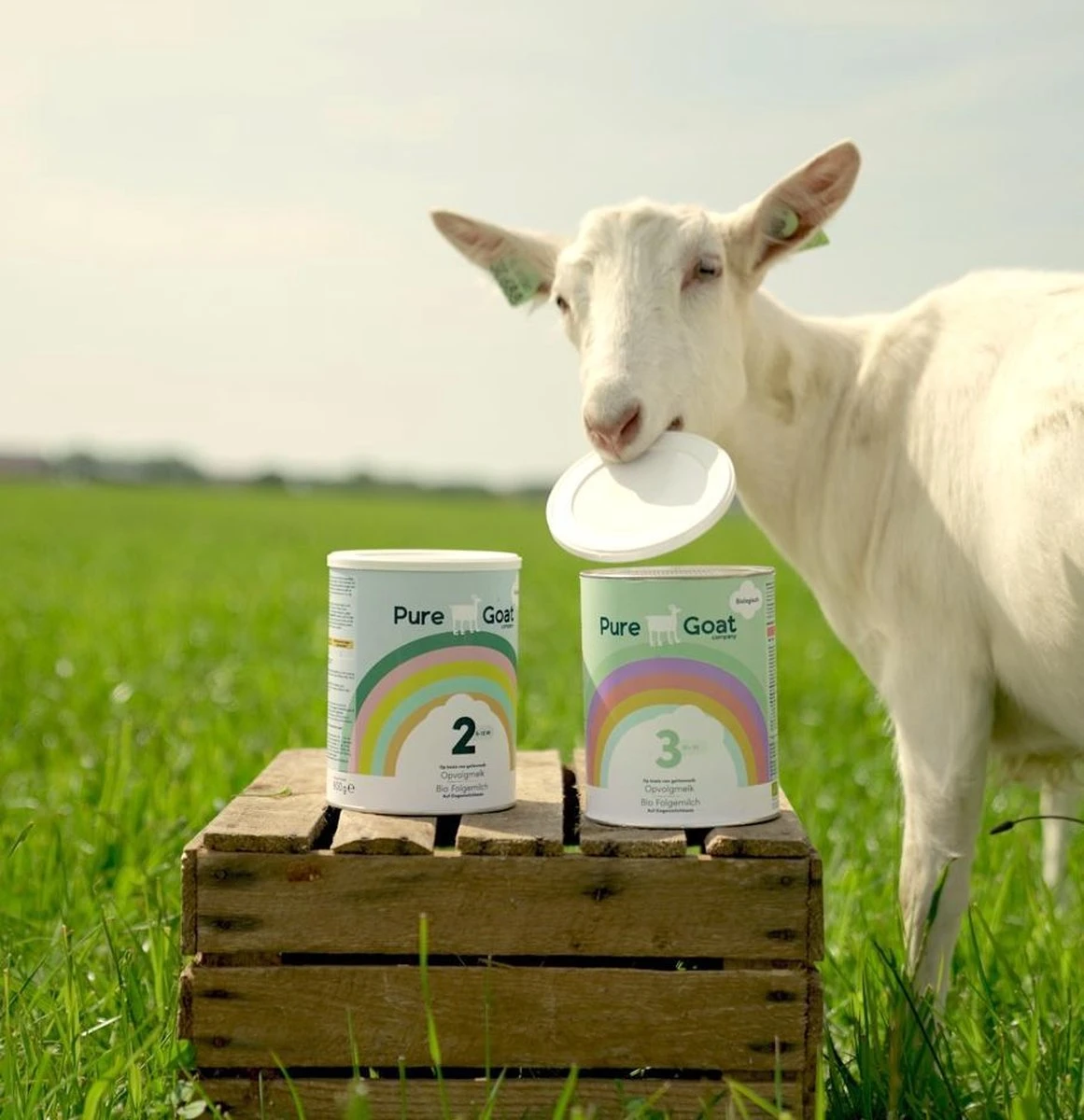 Pure Goat Company - Opvolgmelk 2 - Biologische Flesvoeding Op Basis Van Volle Geitenmelk - 800 Gram 6 Pure Goat Company - Opvolgmelk 2 - Biologische Flesvoeding Op Basis Van Volle Geitenmelk - 800 Gram - Afbeelding 6