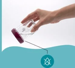 BabyMoov Glazen Babybols Multiset 240mlx4, 120mlx4 -Jollein Winkel 1200x1096 3