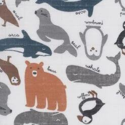 Jollein Hydrofiel Monddoekje Polar - 3 Stuks -Jollein Winkel 1200x1200 1074