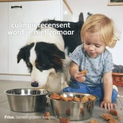 Friso 2 Babyvoeding - Opvolgmelk - 6 Tot 10 Maanden - 800g - Blik -Jollein Winkel 1200x1200 251