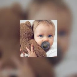 Bibs Fopspeen 0 6 Maanden Set 4 Stuks Glow In The Dark (black, Vanilla, Dark Oak, Blush) Maat 1 -Jollein Winkel 1200x1200 56