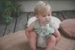 Koeka Speendoekje Bloem Luz - Lichtgroen -Jollein Winkel 1200x799 18