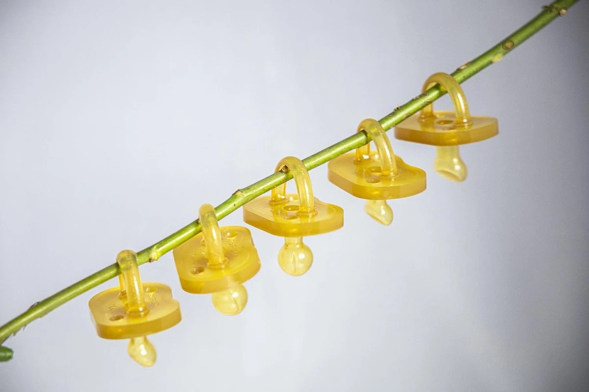 Dupini 100% Natuurrubber Speen/fopspeen - Round Maat L 2 Dupini 100% Natuurrubber Speen/fopspeen - Round Maat L - Afbeelding 2