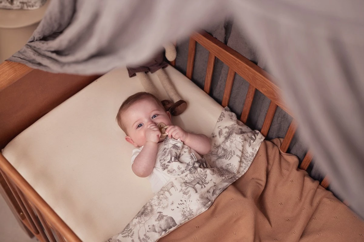 Jollein Speendoekje Pimpelmees - Forest Animals 2 Jollein Speendoekje Pimpelmees - Forest Animals - Afbeelding 2