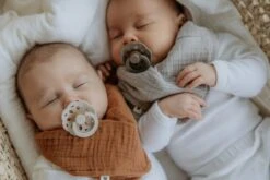 Bibs Fopspeen - Maat 2 6-18 Maanden - Boheme Vanilla -Jollein Winkel 1200x800 16