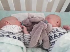 MijnNami Speenknuffel Konijntje En Soother Speen - Afneembaar Speentje - BPA Vrij -Jollein Winkel 1200x900 2