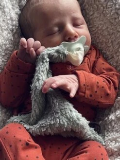 Louka Speendoekje Driehoek Teddy Groen - Teddy Katoen - Speenknuffel - Excl. Bibs Speen -Jollein Winkel 900x1200 15