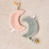 Jollein Speendoek Moon | Set 2 Stuks | Pale Pink + Ash Green