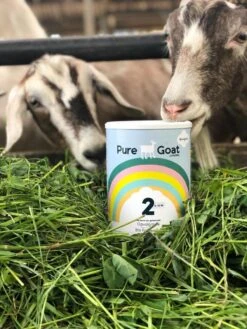Pure Goat Company - Opvolgmelk 2 - Biologische Flesvoeding Op Basis Van Volle Geitenmelk - 800 Gram 17 Pure Goat Company - Opvolgmelk 2 - Biologische Flesvoeding Op Basis Van Volle Geitenmelk - 800 Gram -Jollein Winkel 900x1200 3